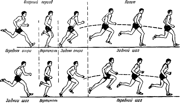 Цикл двойного шага